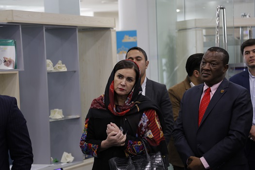 لزوم افزایش همکاری‌های دوجانبه میان شرکت های ایرانی و آفریقای جنوبی